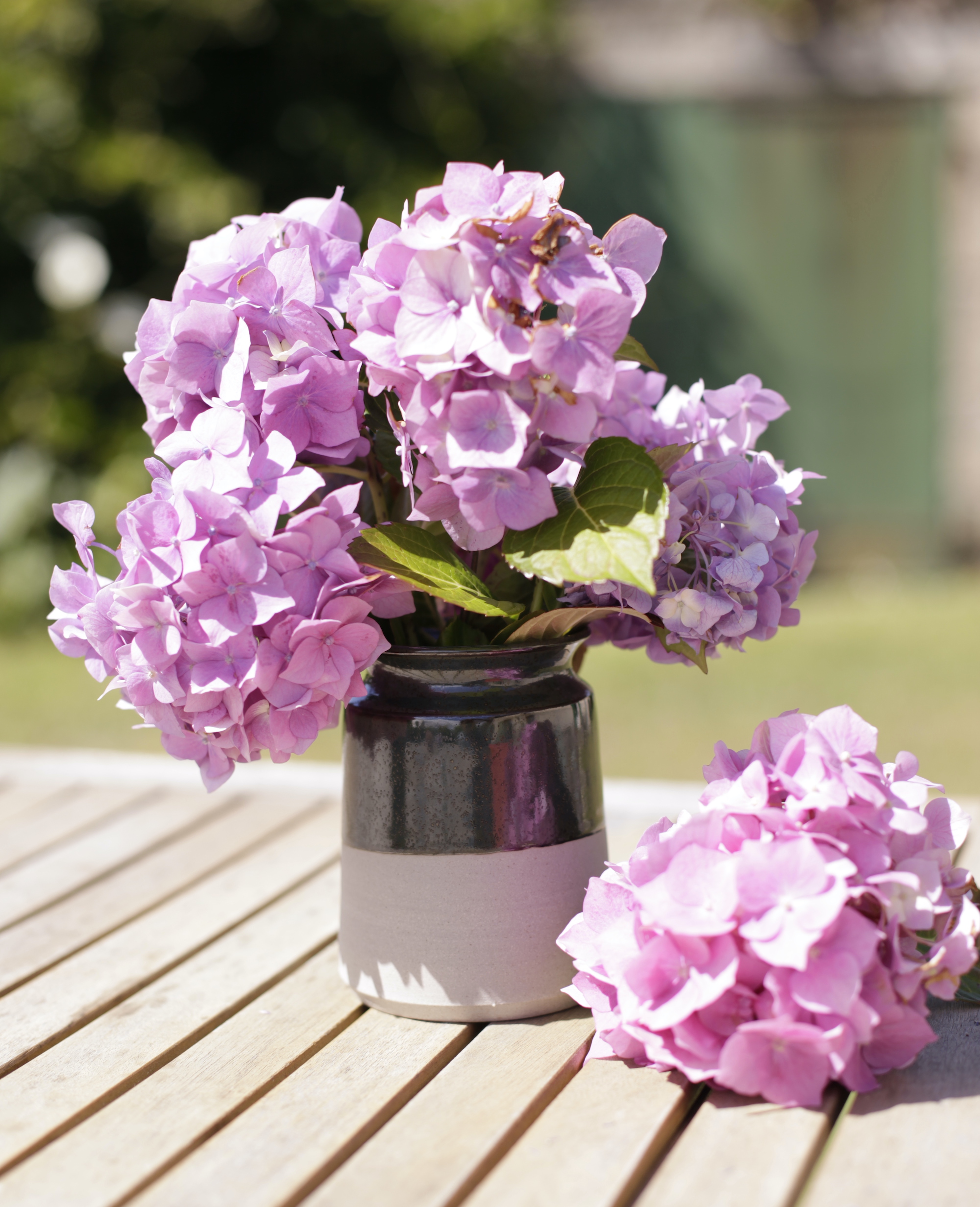 vase en grès vase et hortencias
